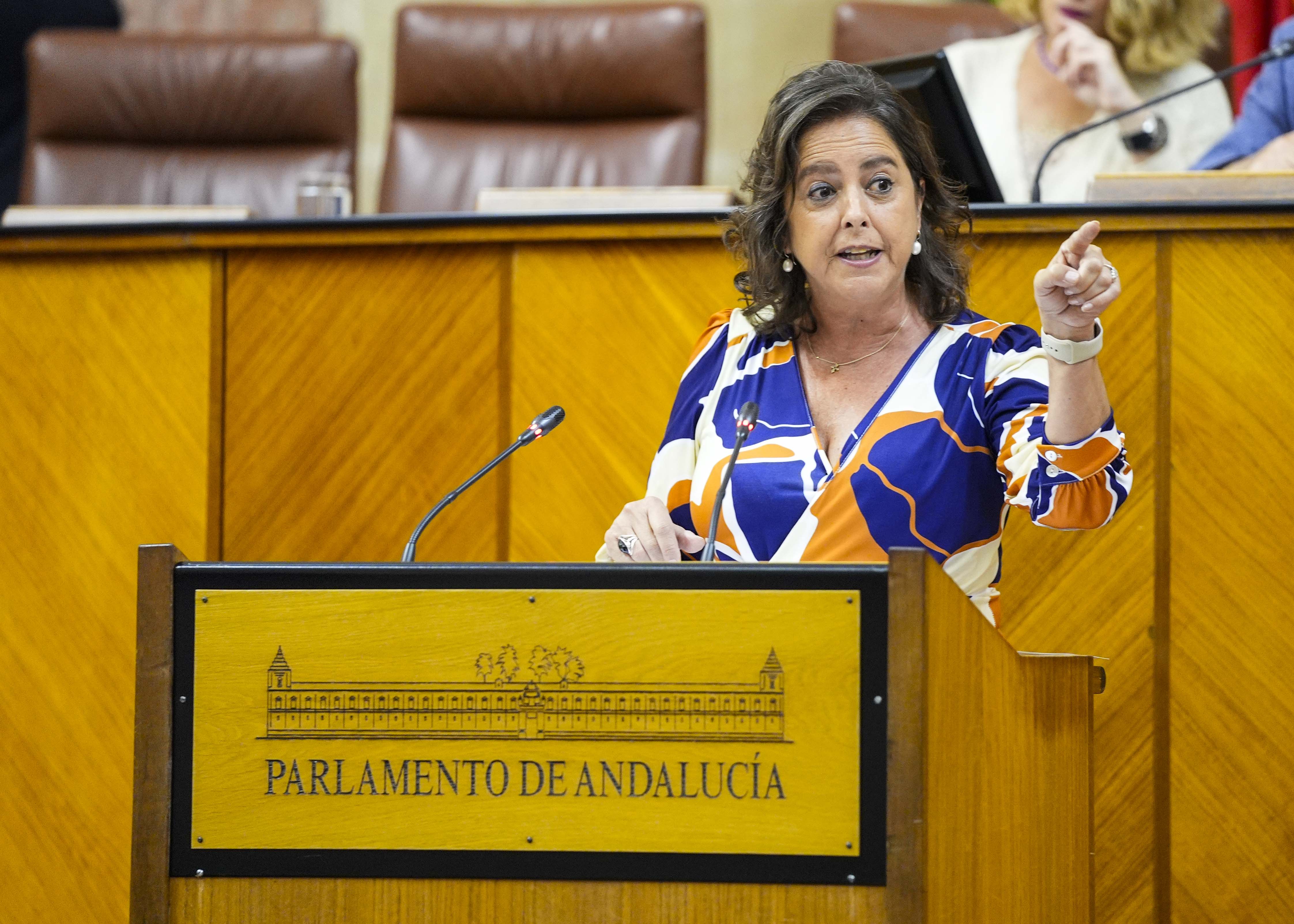  Catalina Garca, consejera de Salud y Consumo, responde a la interpelacin de su competencia 