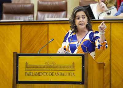  Catalina Garca, consejera de Salud y Consumo, responde a la interpelacin de su competencia 
