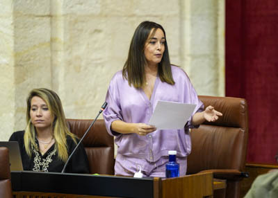 Por el Grupo Popular, Mara Daz pregunta sobre las lneas de incentivos de la Consejera de Universidad, Investigacin e Innovacin al sector aeroespacial 
