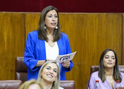  La diputada del Grupo Popular Ana Chocano pregunta sobre la eficiencia energtica del puente del Alamillo 