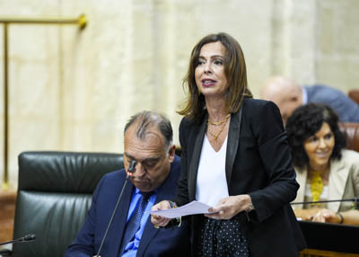  Roco Daz, consejera de Fomento, Articulacin del Territorio y Vivienda, responde 