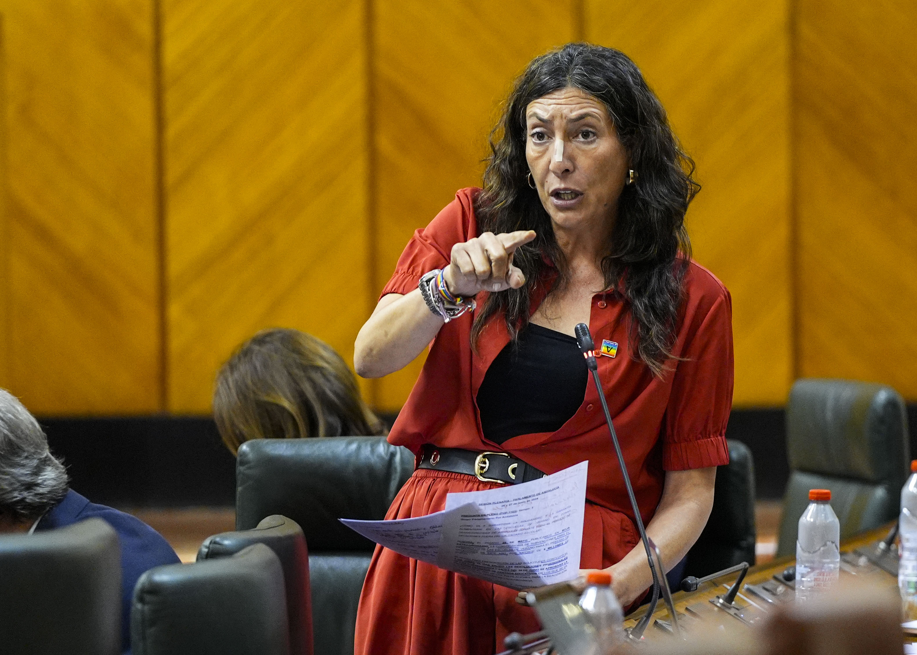  Loles Lpez, consejera de Inclusin Social, Juventud, Familias e Igualdad, contesta  