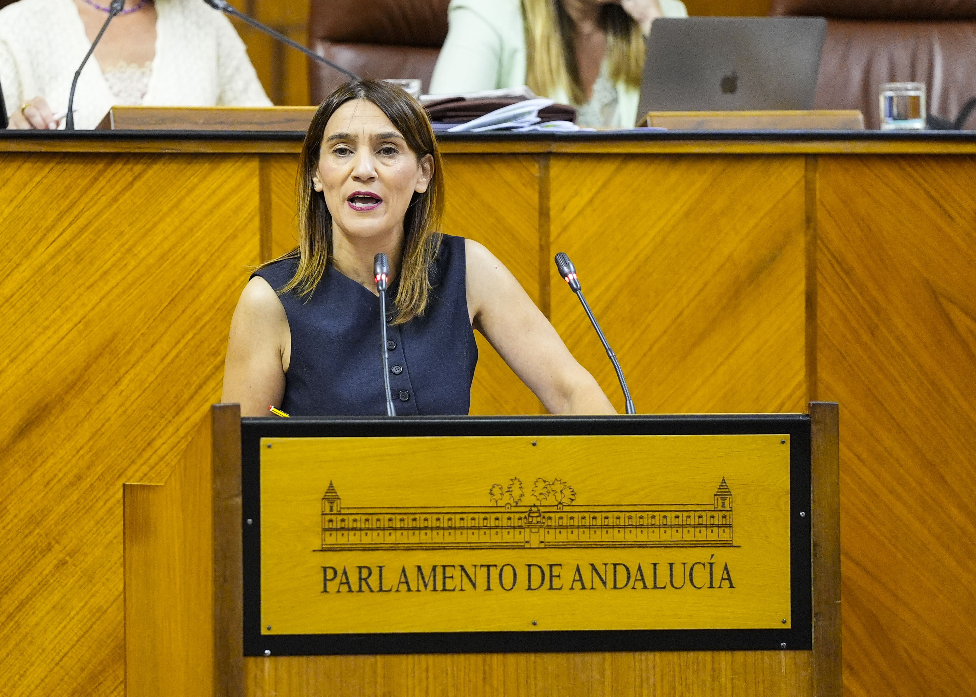 Por el Grupo Socialista, la diputada Olga Manzano presenta una PNLP relativa a la reactivacin, innovacin y evaluacin del Programa Integral de Silicosis de Andaluca (PISA) en el manipulado de aglomerados de cuarzo 