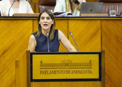 Por el Grupo Socialista, la diputada Olga Manzano presenta una PNLP relativa a la reactivacin, innovacin y evaluacin del Programa Integral de Silicosis de Andaluca (PISA) en el manipulado de aglomerados de cuarzo 
