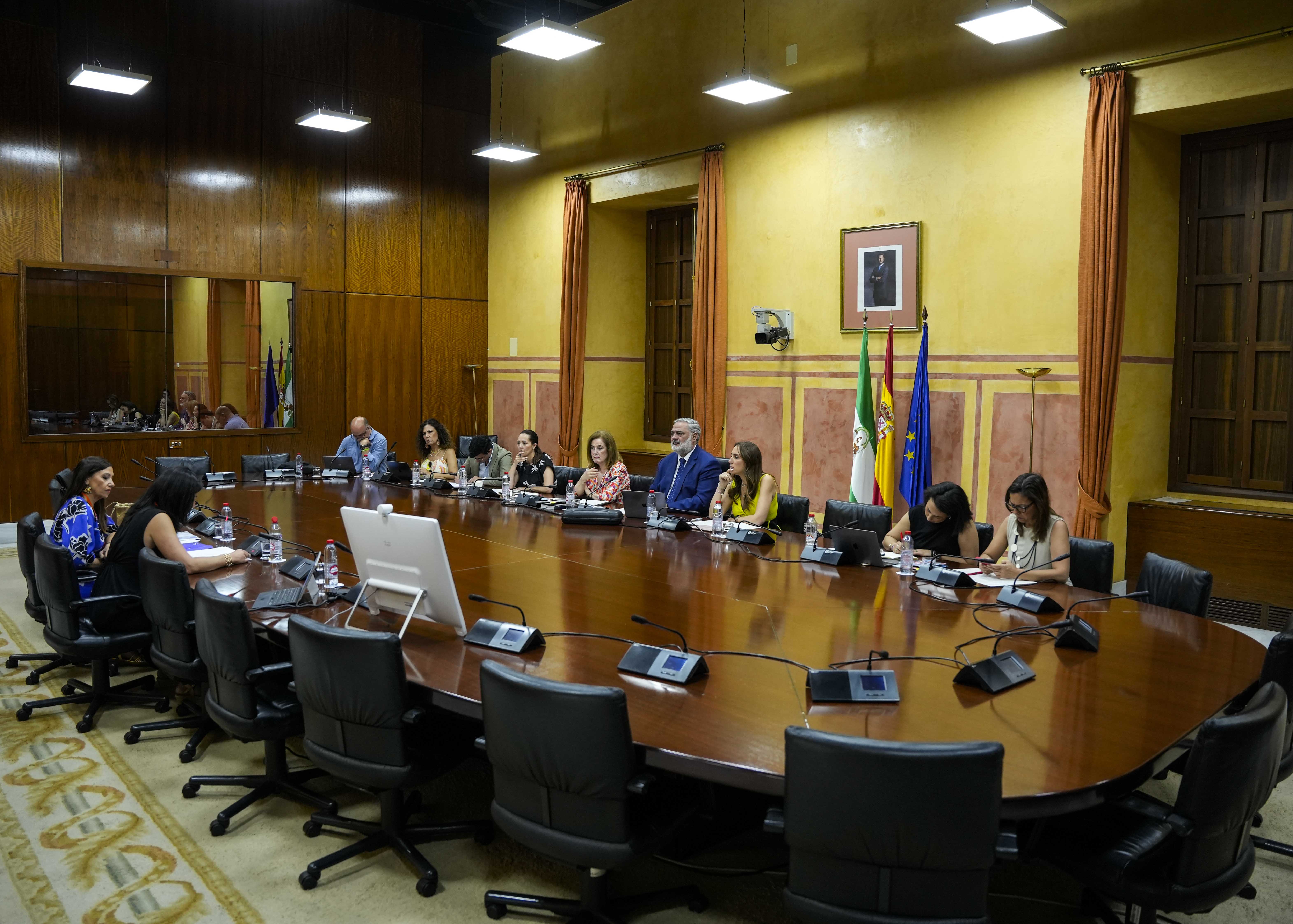  El Grupo de Trabajo relativo a la lucha contra la violencia de gnero en Andaluca asiste a una de las comparecencias de la maana de hoy