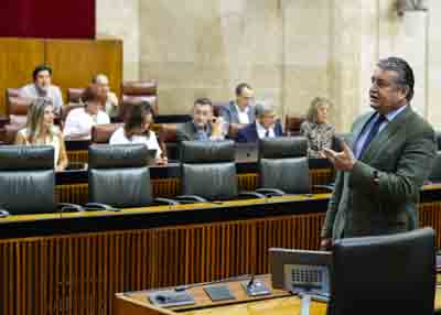 El consejero de la Presidencia, Interior, Dilogo Social y Simplificacin Administrativa, Antonio Sanz, contesta a la pregunta 