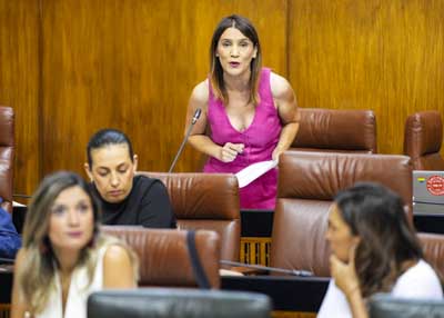   Olga Manzano, del G.P. Socialista, pregunta a la consejera de Salud sobre los permisos retribuidos para el cuidado de hijos con enfermedades muy graves
