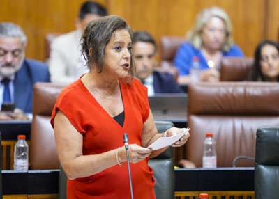   Catalina Garca, consejera de Salud y Consumo, responde a la pregunta que le formulan 