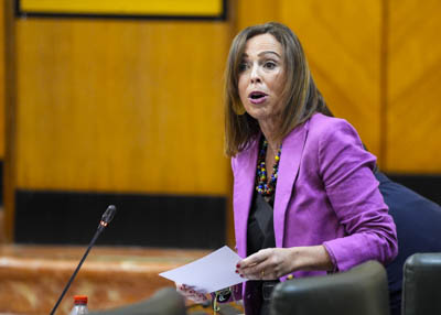  Roco Daz, consejera de Fomento, Articulacin del Territorio y Vivienda, responde