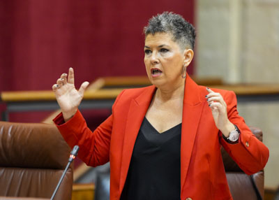  Mara Isabel Mora, presidenta del G.P. Mixto-Adelante Andaluca, formula una pregunta relativa a vertidos mineros  