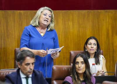  Por el G.P. Popular de Andaluca, Trinidad Herrera formula una pregunta relativa a los premios "NovaGob" 