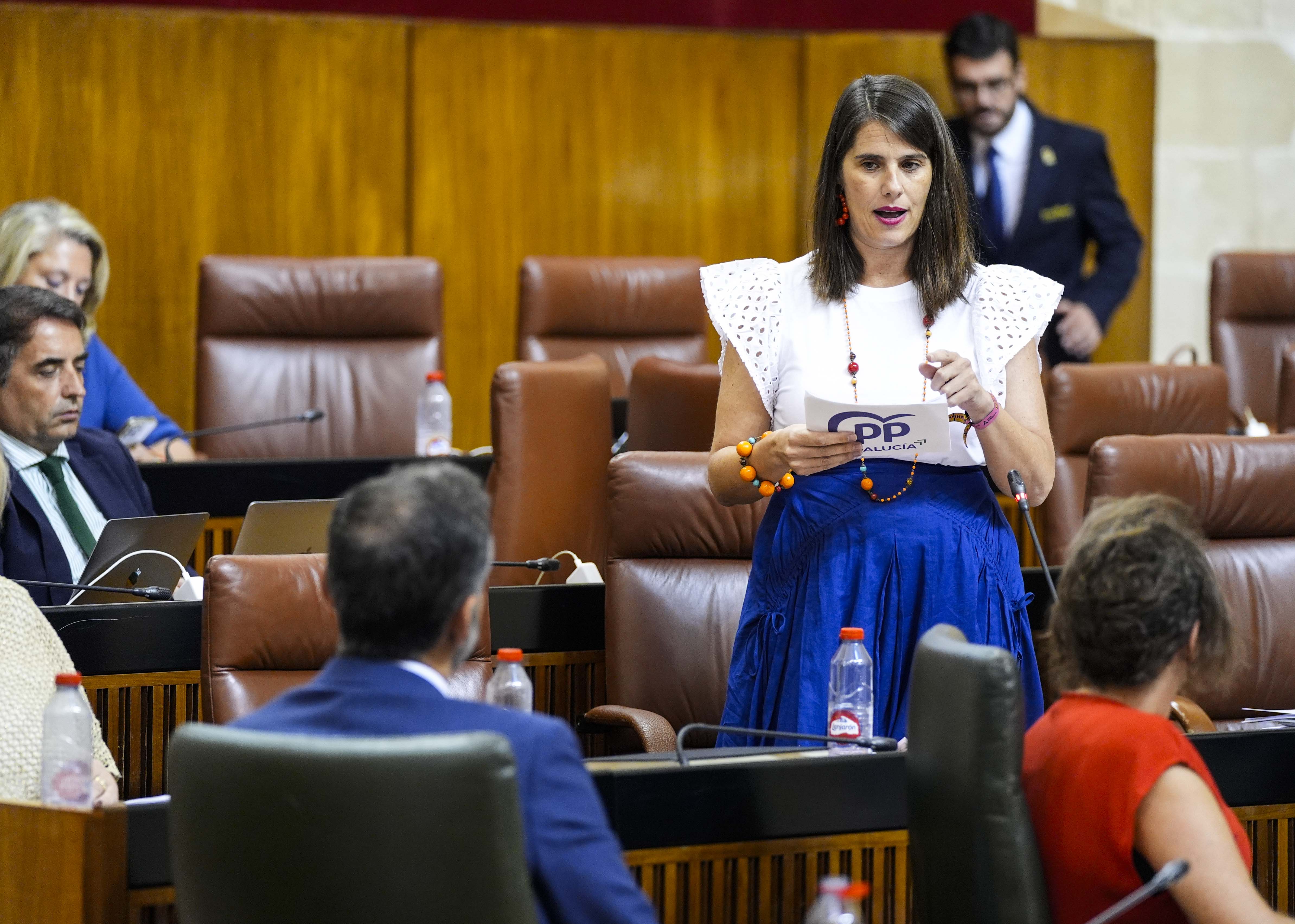  Por el Grupo Popular, Araceli Cabello pregunta sobre la valoracin de la digitalizacin en materia medioambiental 