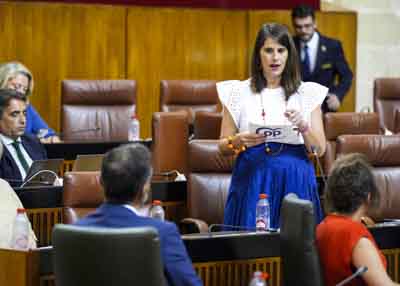  Por el Grupo Popular, Araceli Cabello pregunta sobre la valoracin de la digitalizacin en materia medioambiental 
