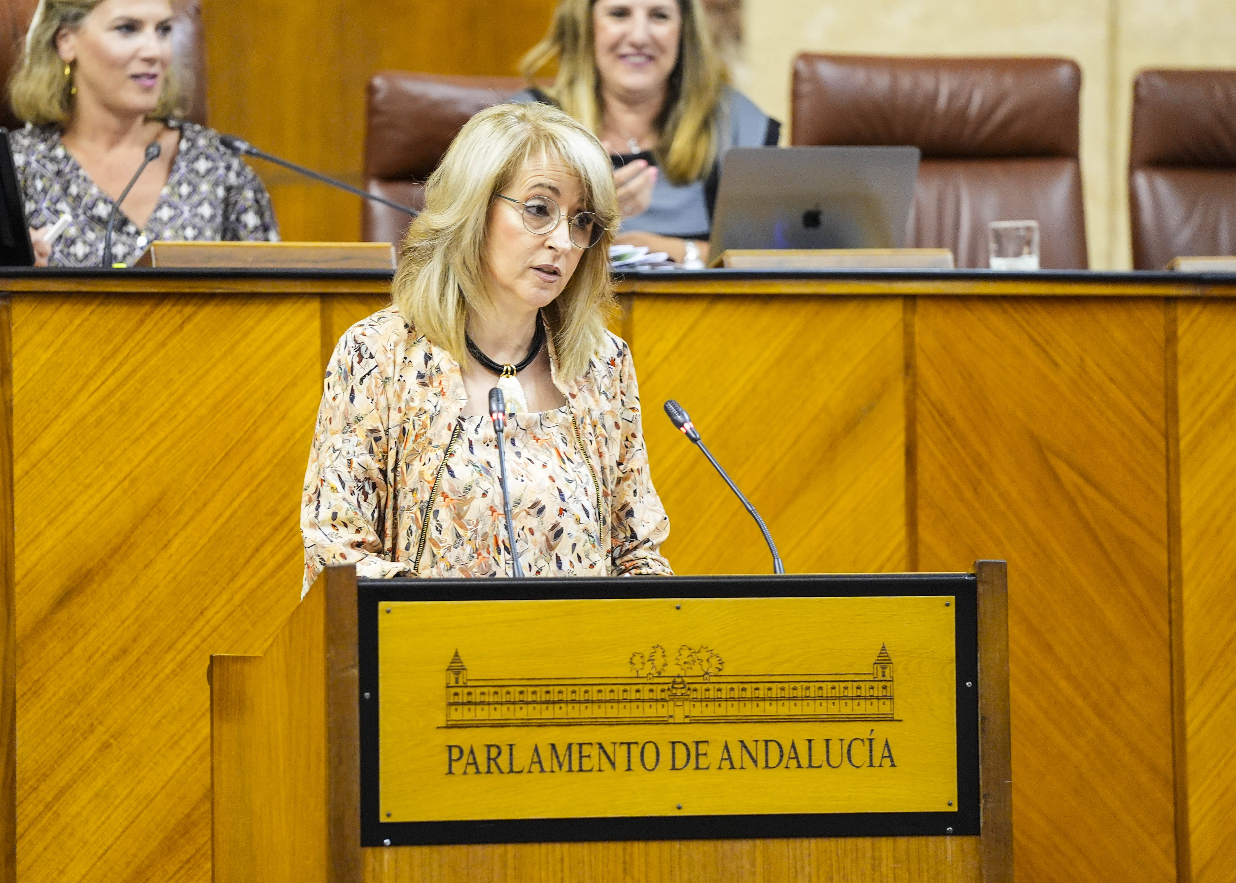 Por el G.P. Popular, Mara Pilar Pintor presenta una proposicin no de ley relativa a las medidas de apoyo a los puertos de inters general del Estado en Andaluca 