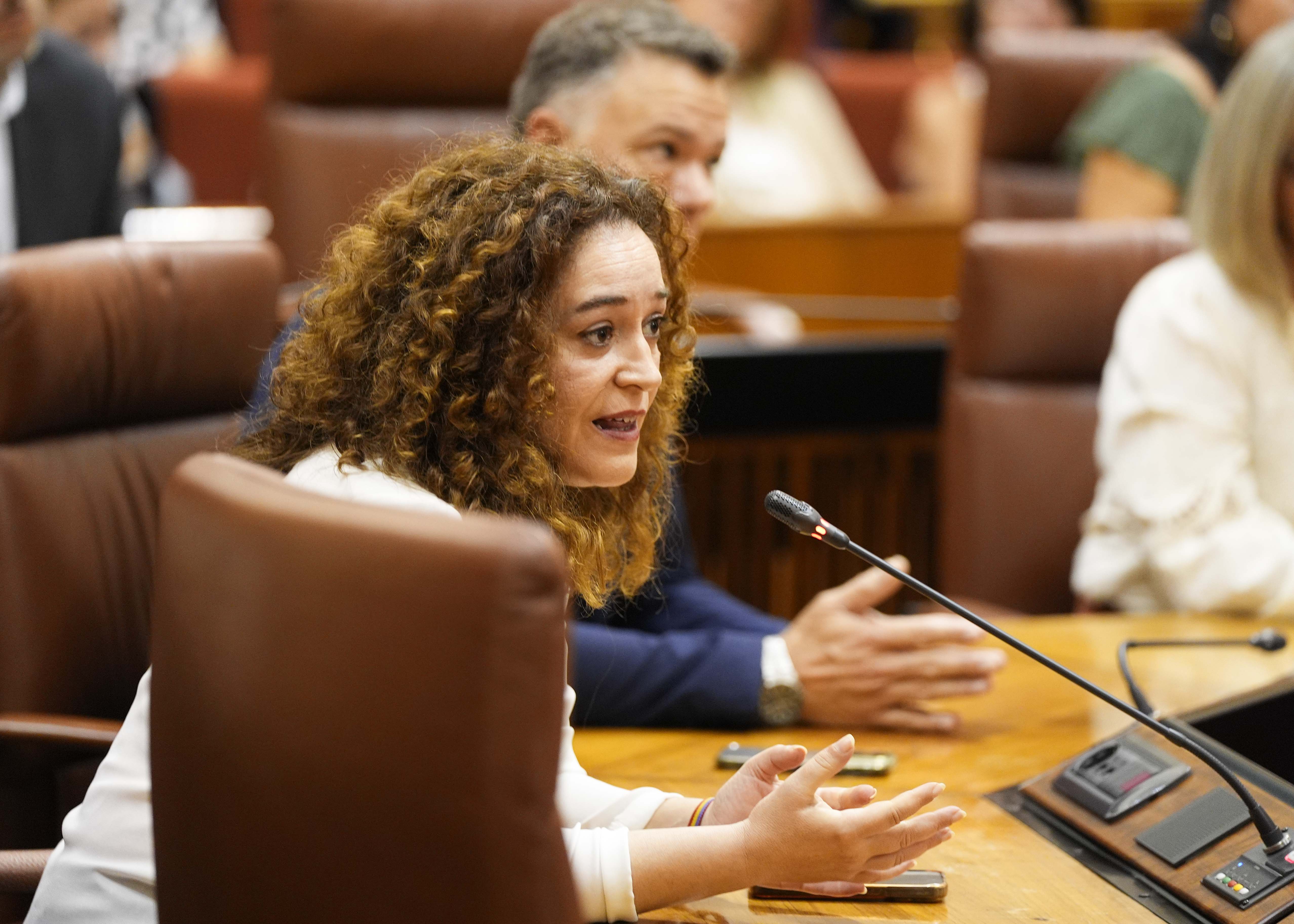 Inmaculada Nieto, portavoz del Grupo Por Andaluca 