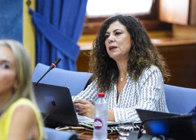 Intervencin de Ana Mara Ruiz para posicionar al Grupo Vox en Andaluca