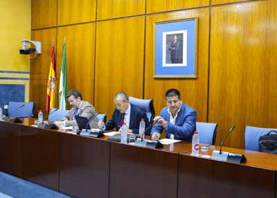 Mesa de la Comisin de Salud y Consumo al inicio de la sesin 