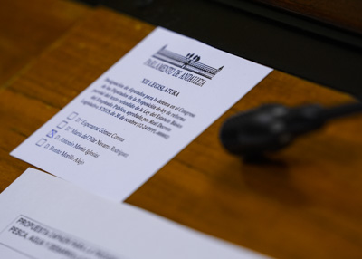  Papeleta de votacin para la eleccin de los tres diputados que defendern la iniciativa de reforma parcial del texto refundido de la Ley del Estatuto Bsico del Empleado Pblico ante el Congreso de los Diputados