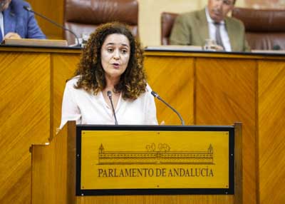 Inmaculada Nieto, portavoz de Por Andaluca, expresa el parecer de su grupo parlamentario ante la proposicin de ley