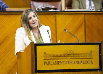 Irene Garca posiciona al Grupo Parlamentario Socialista durante el debate de la proposicin de ley 