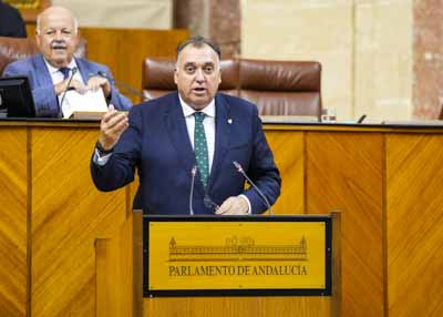  Arturo Bernal, consejero de Turismo y Andaluca Exterior, comparece ante el Pleno para informar sobre los datos tursticos del verano del 2024 