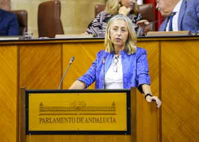 La consejera de Salud y Consumo, Roco Hernndez, contesta a la interpelacin de su competencia 