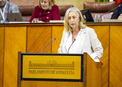 La consejera de Salud y Consumo, Roco Hernndez, contesta a la interpelacin de su competencia 