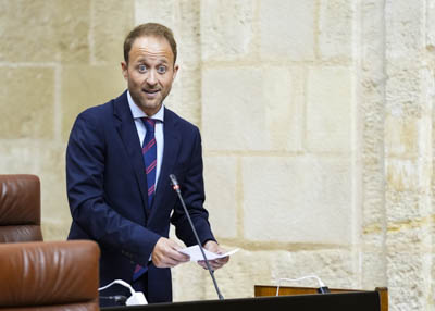 El diputado del Grupo Popular Erik Domnguez pregunta sobre las inversiones industriales chinas en Andaluca 