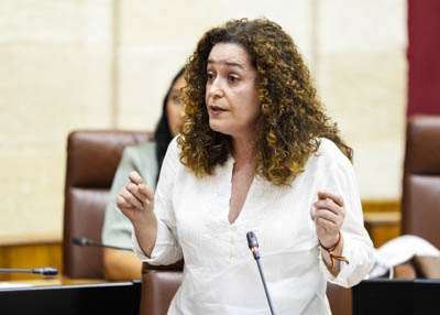 Inmaculada Nieto, portavoz del G.P. Por Andaluca, formula al presidente una pregunta relativa a valoracin de la situacin poltica actual en Andaluca 