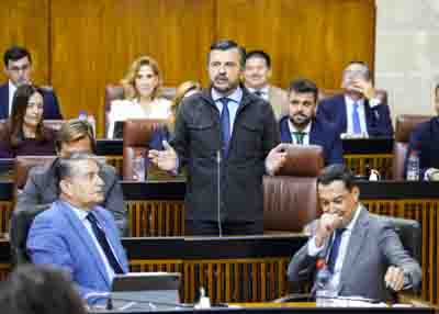  El portavoz del G.P. Popular de Andaluca, Antonio Martn, interpela al presidente del Ejecutivo sobre las polticas del Estado de bienestar en Andaluca   