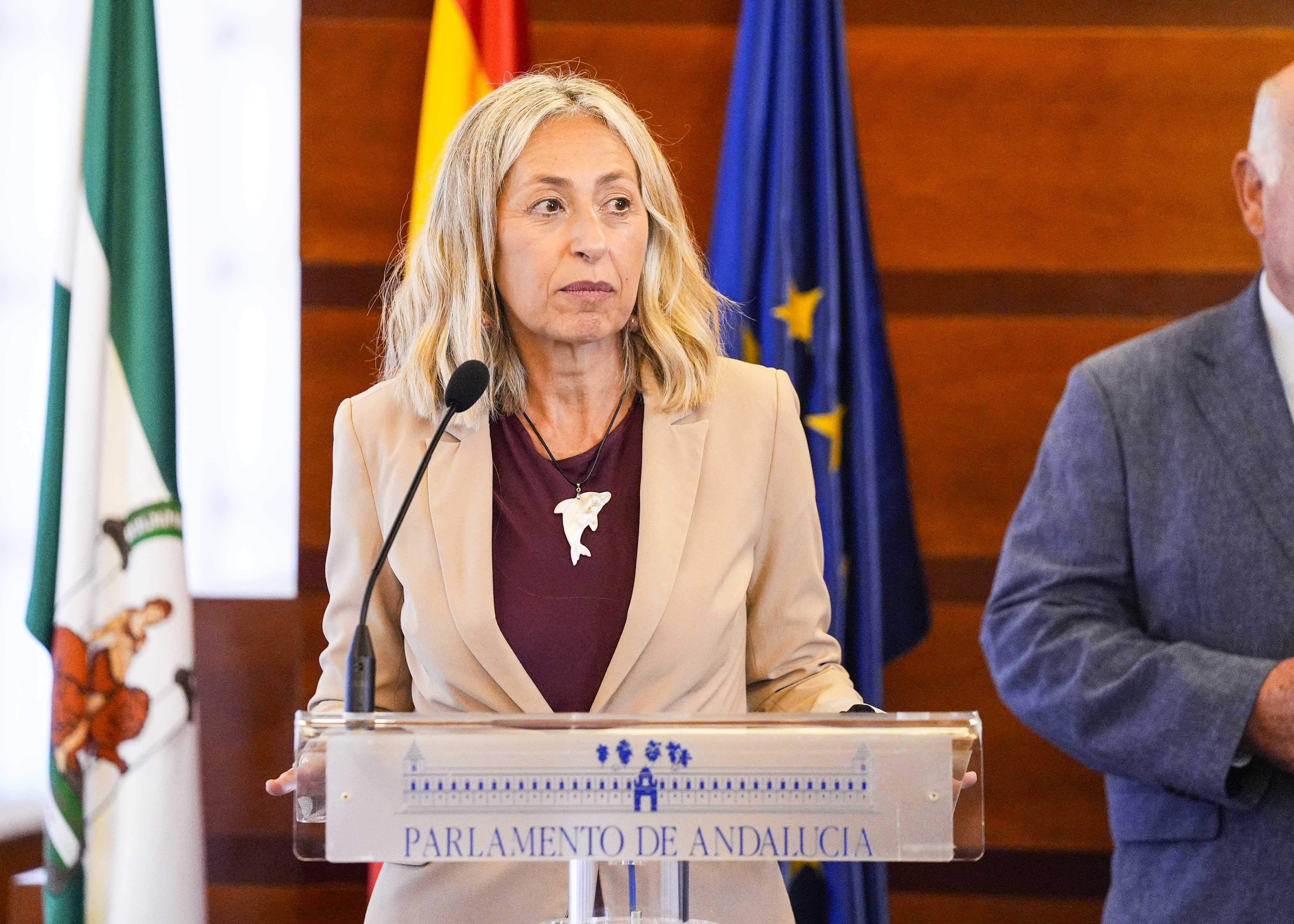 Roco Hernndez, consejera de Salud y Consumo de la Junta de Andaluca, interviene en la presentacin