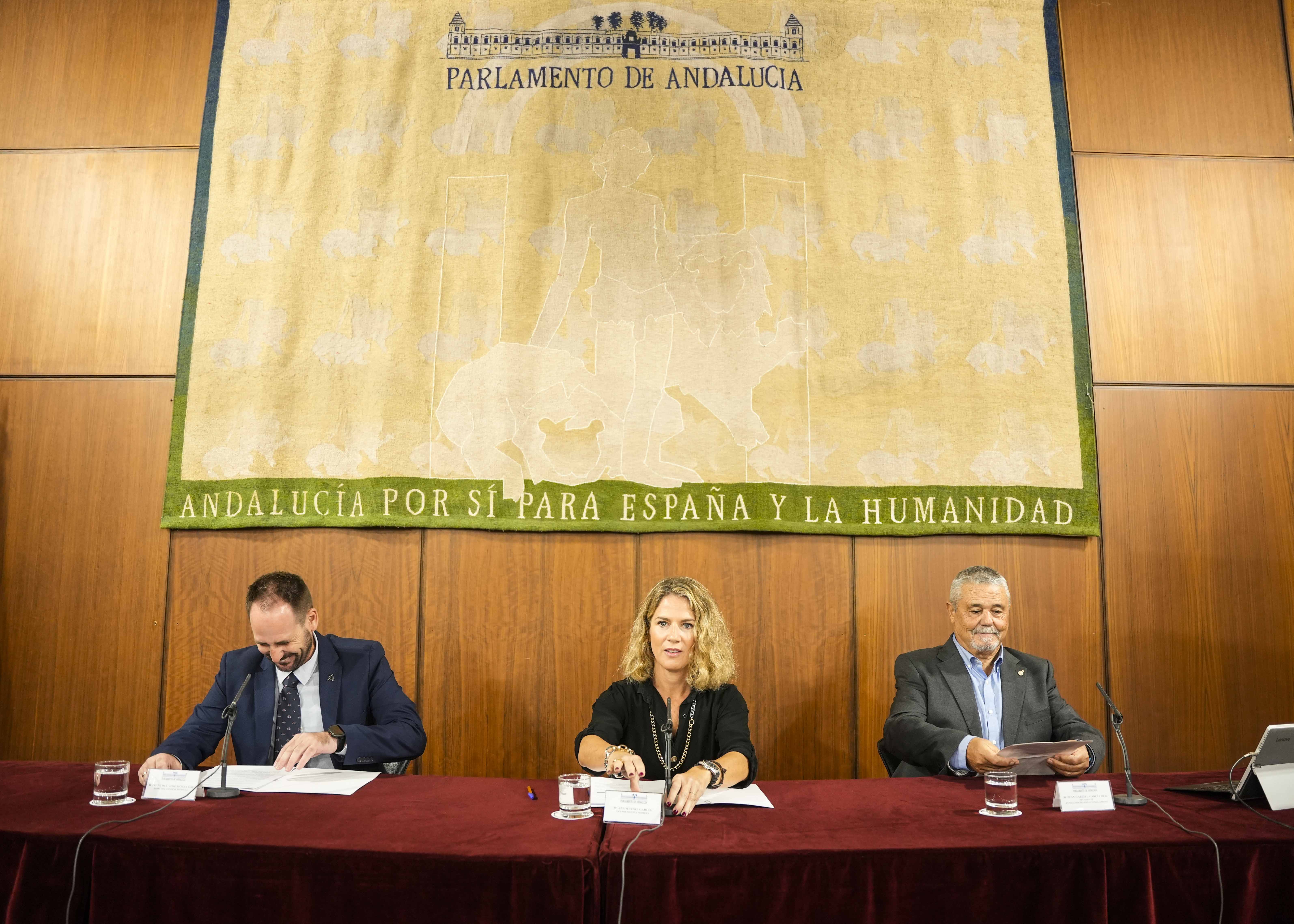 La vicepresidenta primera del Parlamento de Andaluca, Ana Mestre, inaugura la I Jornada Autonmica sobre Acogimiento Familiar en Andaluca 