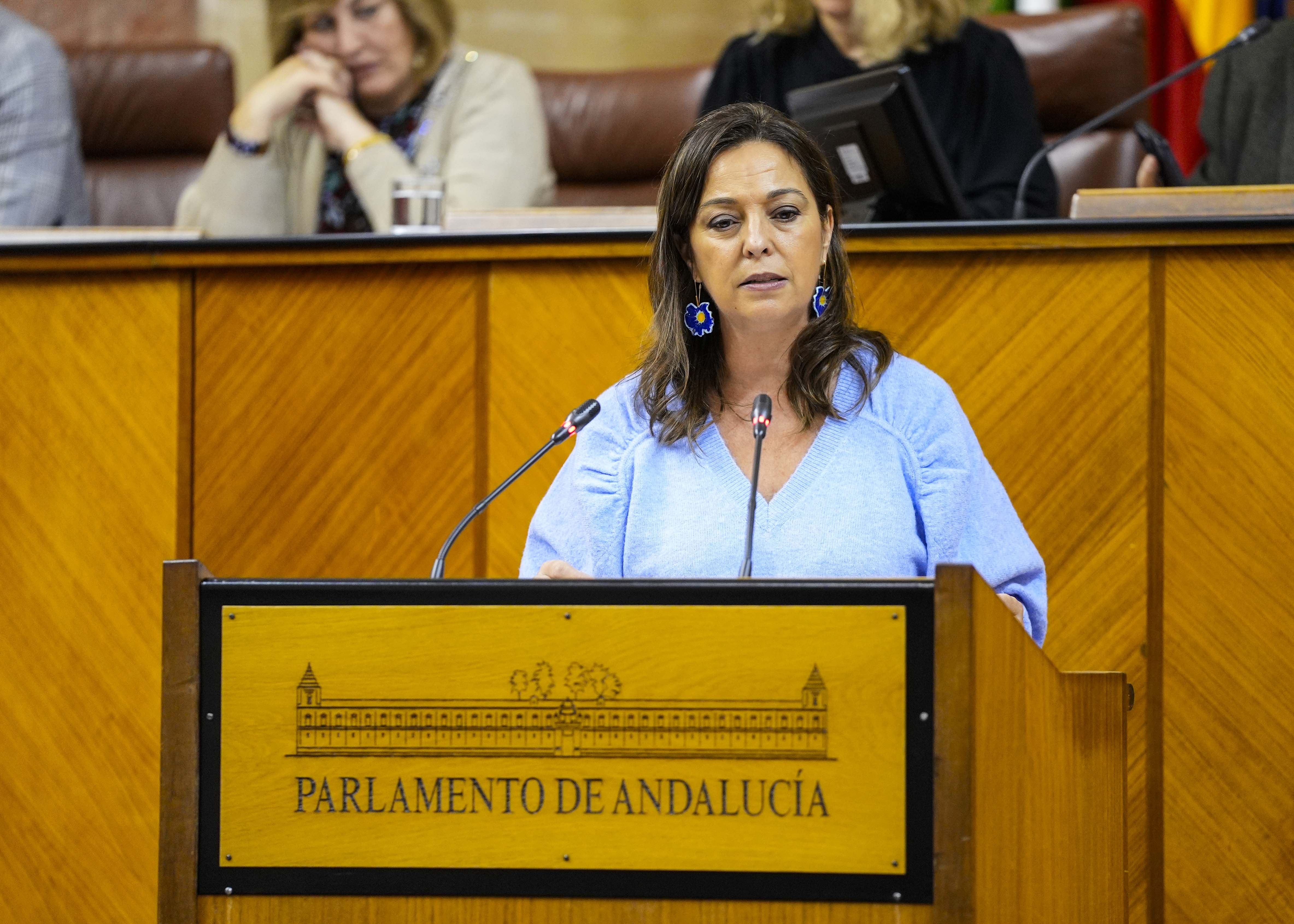  Por el Grupo Socialista, la diputada Mara Isabel Ambrosio formula una interpelacin relativa a poltica general en materia de vivienda