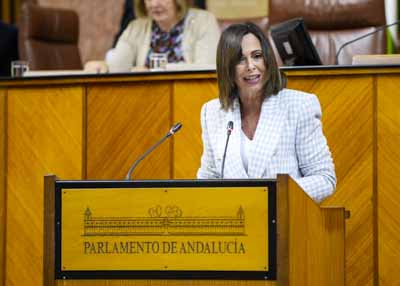 Roco Daz, consejera de Fomento, Articulacin del Territorio y Vivienda, contesta a la interpelacin de su competencia
