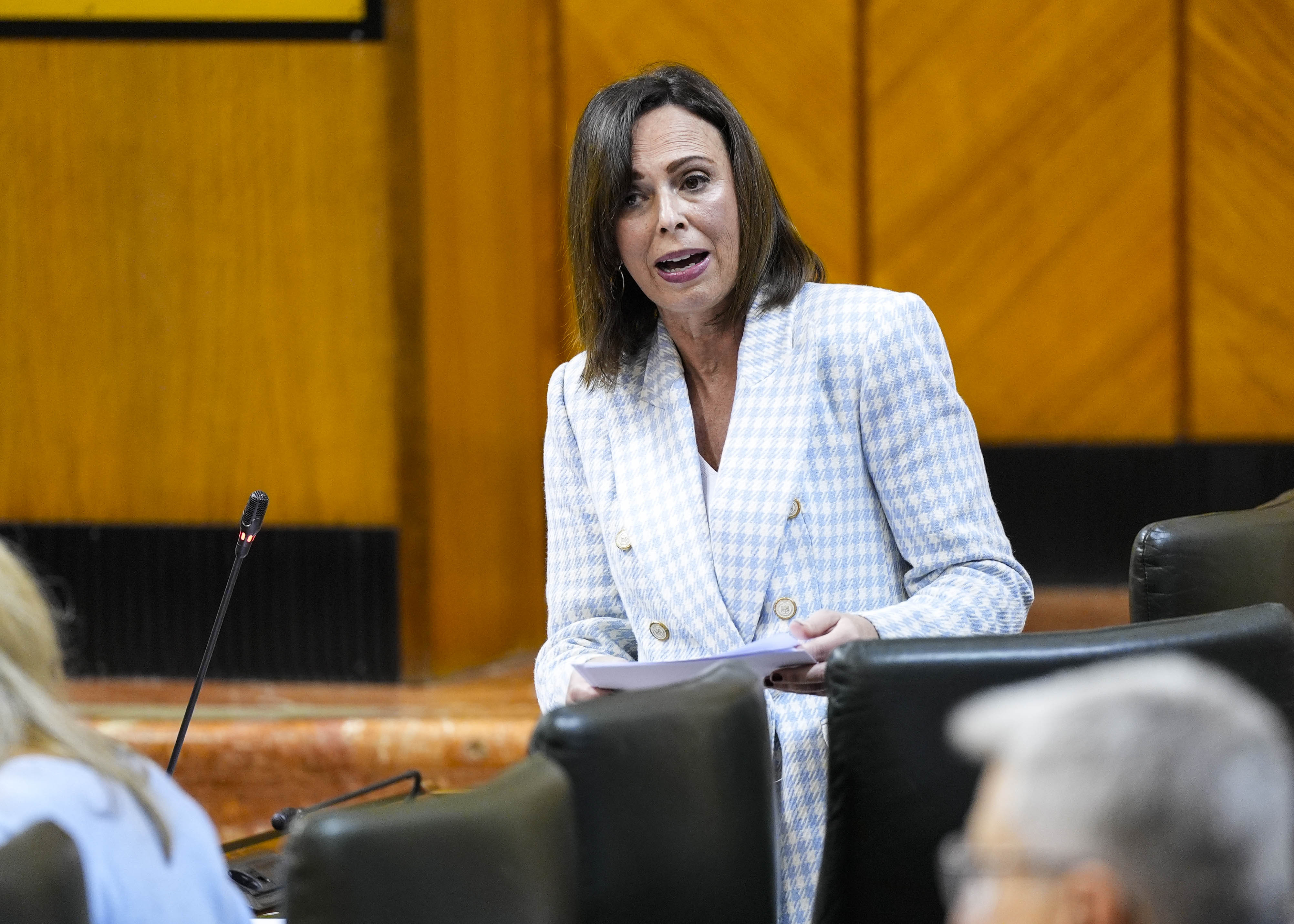 La consejera de Fomento, Articulacin del Territorio y Vivienda, Roco Daz, contesta a la pregunta que le formula la diputada 