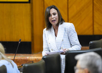 La consejera de Fomento, Articulacin del Territorio y Vivienda, Roco Daz, contesta a la pregunta que le formula la diputada 