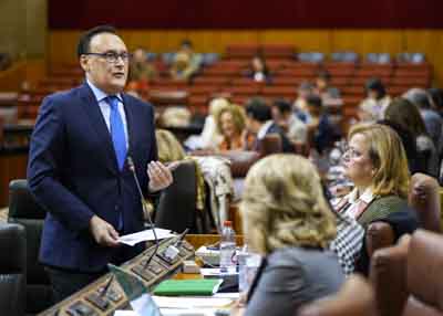 Jos Carlos Gmez Villamandos, consejero de Universidad, Investigacin e Innovacin, contesta a la cuestin 