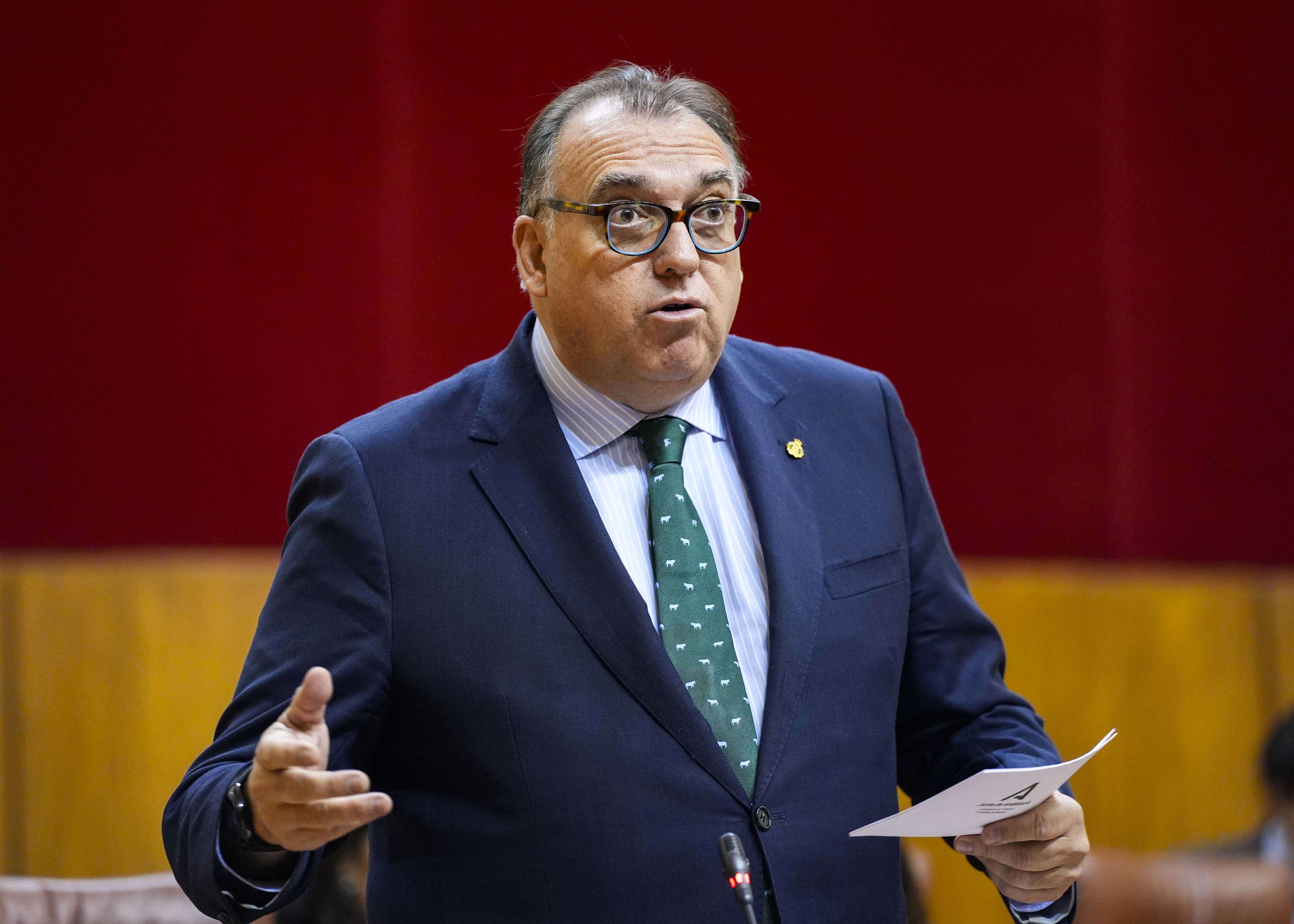 El consejero de Turismo y Andaluca Exterior, Arturo Bernal, durante la respuesta  