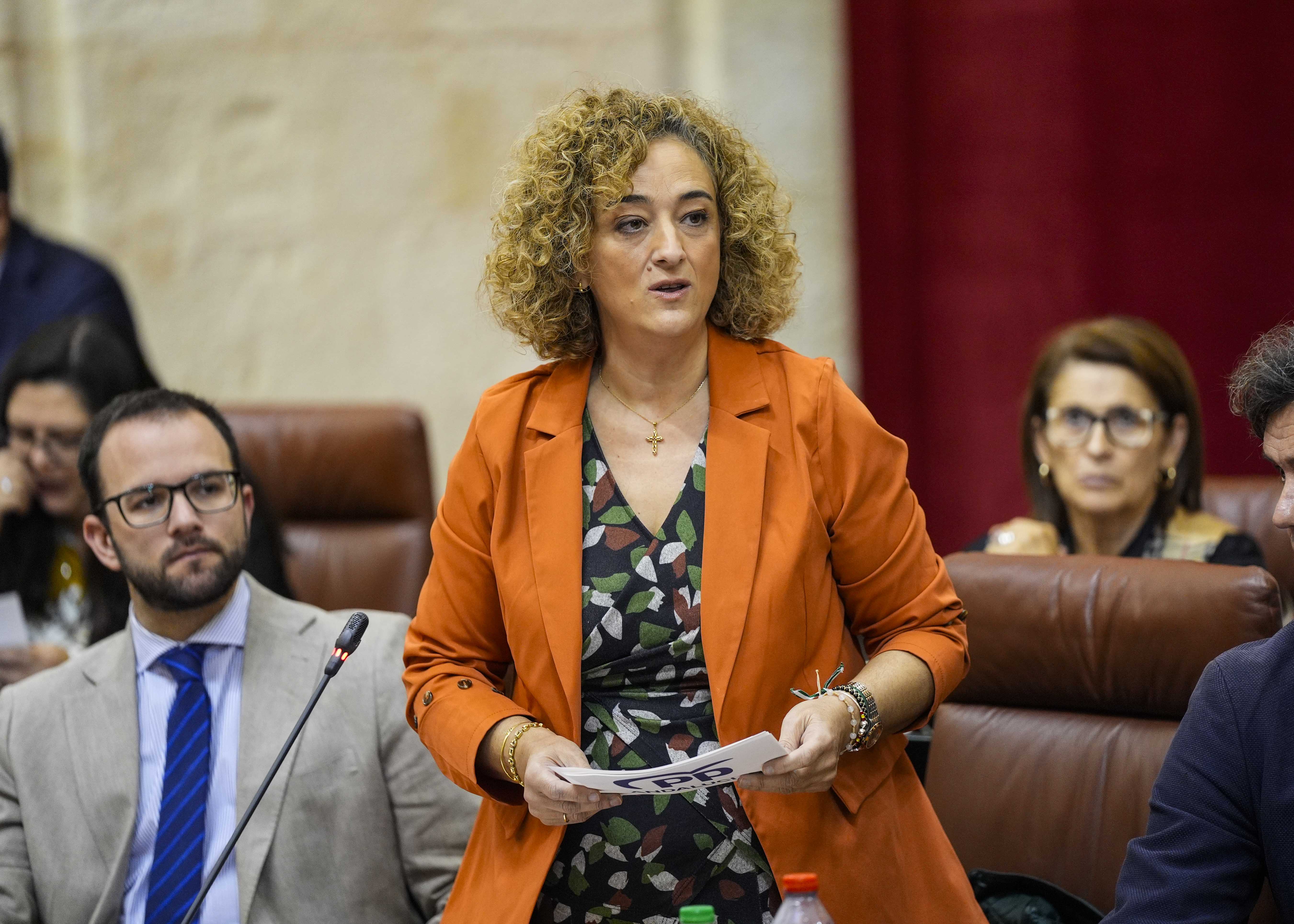 La diputada del Grupo Popular Rosa Mara Fuentes realiza una pregunta relativa a medidas contra la violencia de gnero 