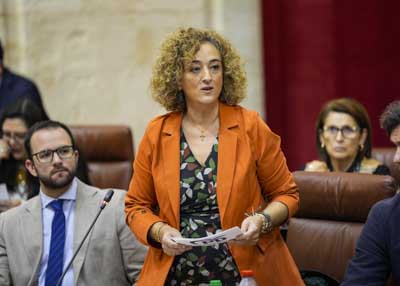La diputada del Grupo Popular Rosa Mara Fuentes realiza una pregunta relativa a medidas contra la violencia de gnero 