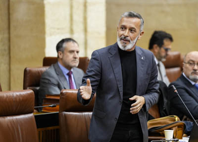 Por el Grupo Socialista, el diputado Rafael Alfonso Recio realiza una pregunta relativa a Plan Estratgico del Flamenco 