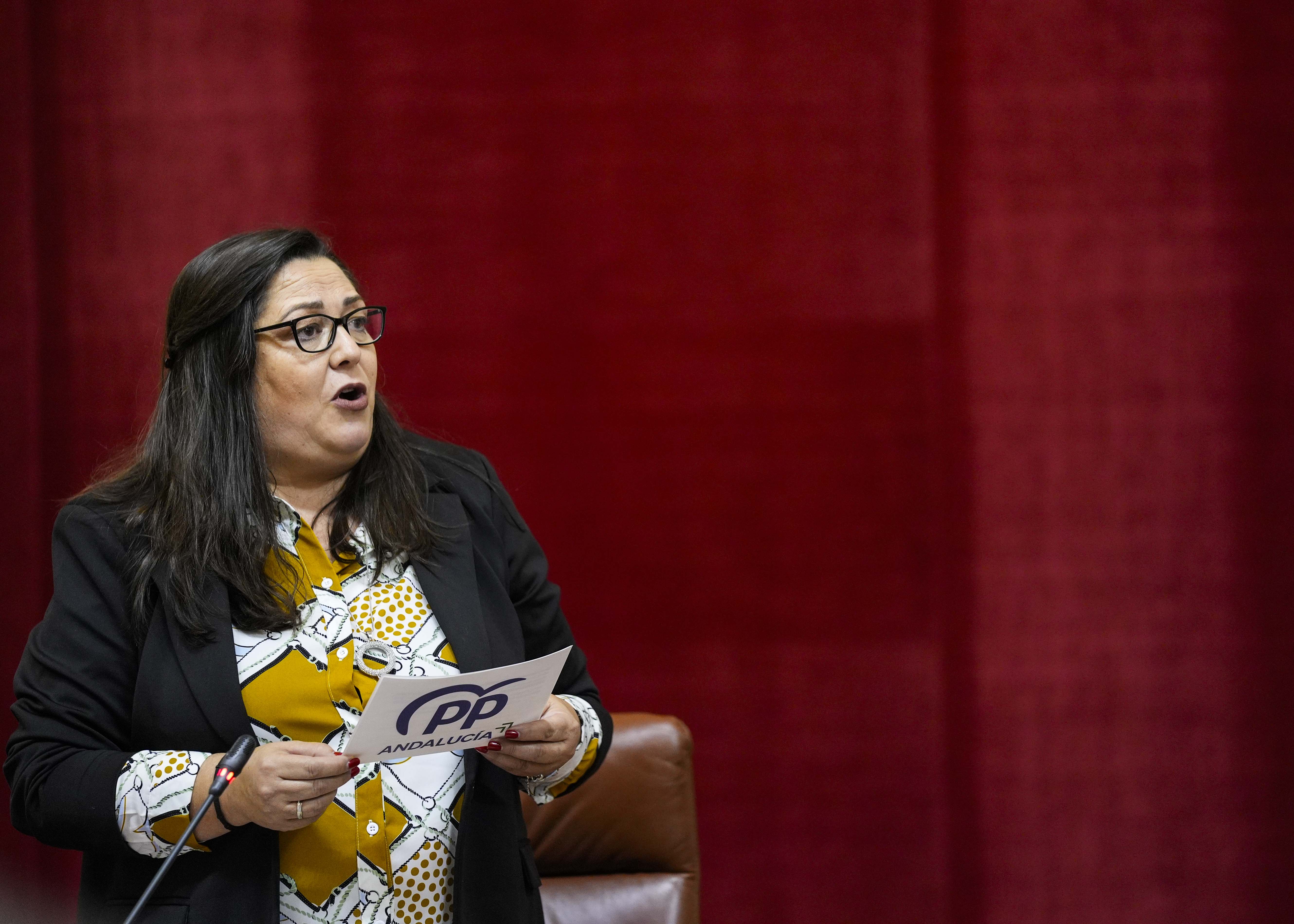  Dolores Bautista, diputada del G.P. Popular de Andaluca, formula una pregunta de mxima actualidad relativa a presupuestos de la Consejera de Industria, Energa y Minas 2025 