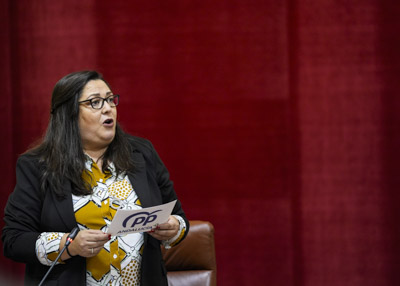  Dolores Bautista, diputada del G.P. Popular de Andaluca, formula una pregunta de mxima actualidad relativa a presupuestos de la Consejera de Industria, Energa y Minas 2025 