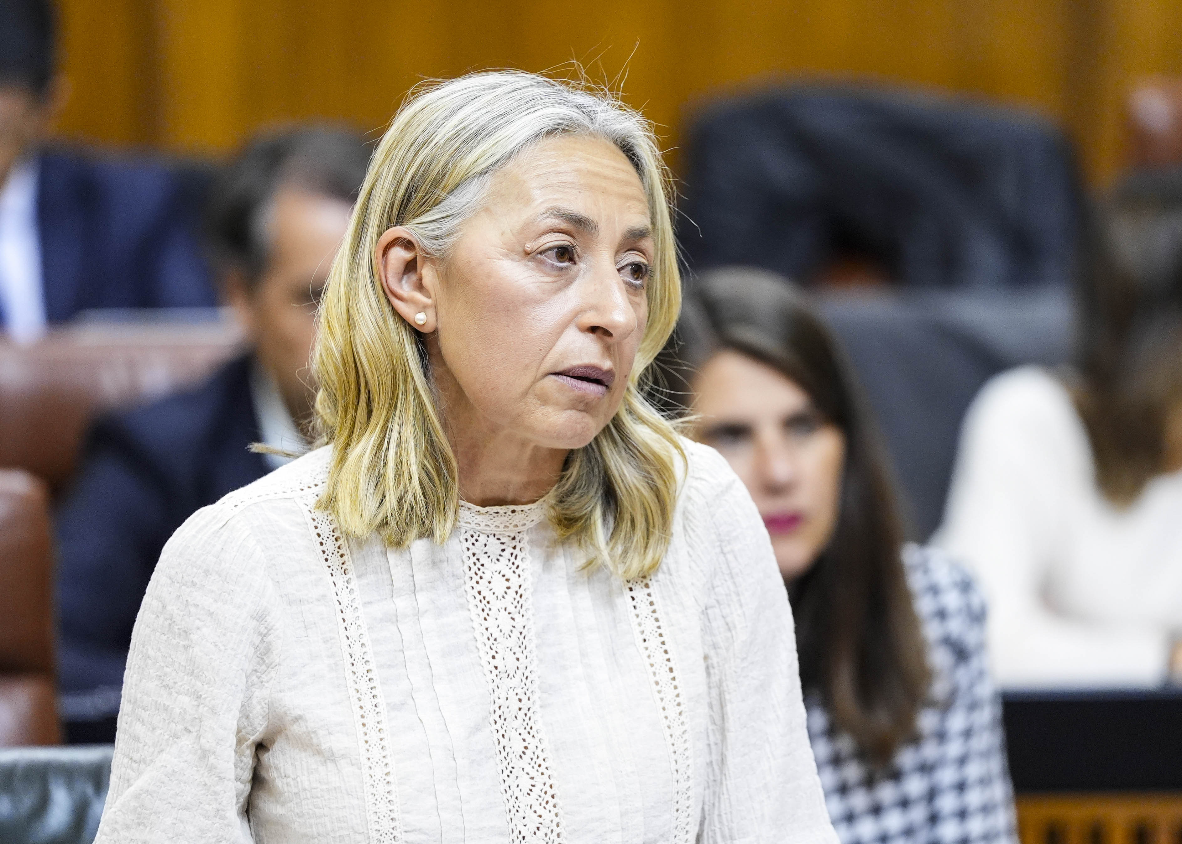  La consejera de Salud y Consumo, Roco Hernndez, responde en la sesin plenaria a las cuestiones que le formulan los diputados 