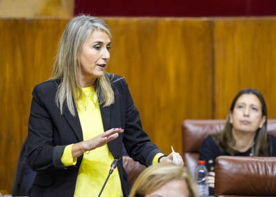 Por el Grupo Popular, la diputada Mara Remedios Olmedo cierra el turno de preguntas con una cuestin de mxima actualidad relativa a inversin en centros educativos andaluces 