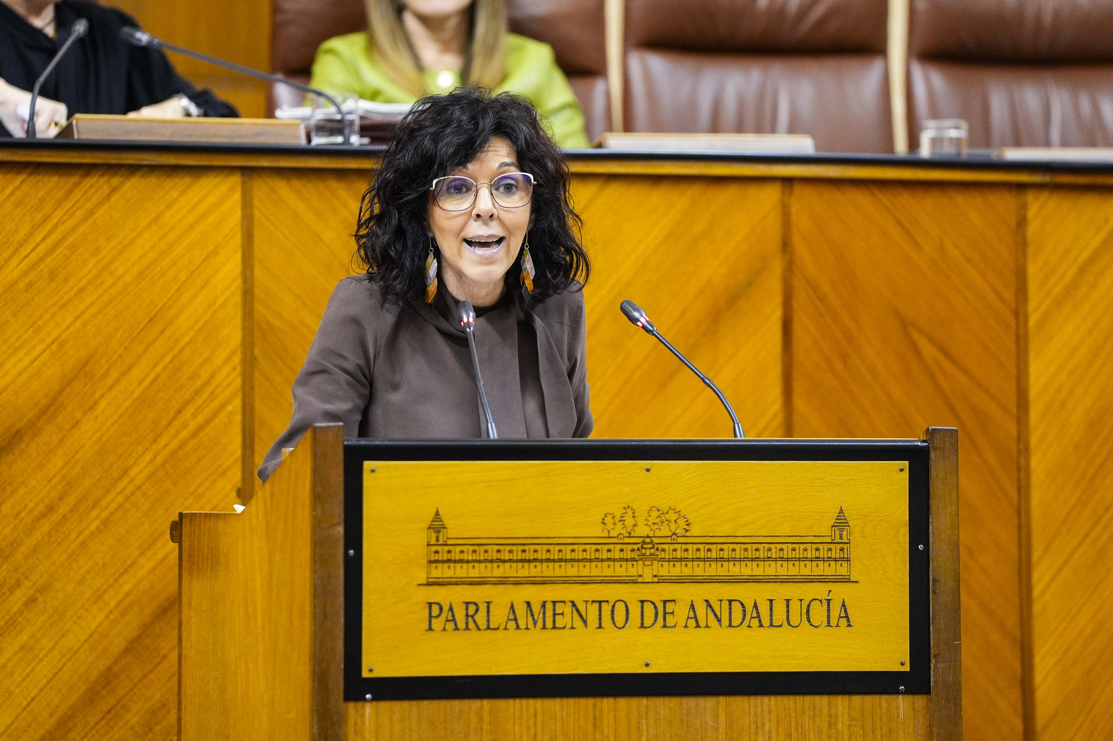 La diputada del Grupo Socialista Mara ngeles Prieto argumenta una proposicin no de ley relativa a incremento de plantillas, salarios y condiciones laborales en el SAS 