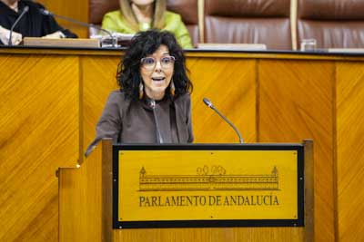 La diputada del Grupo Socialista Mara ngeles Prieto argumenta una proposicin no de ley relativa a incremento de plantillas, salarios y condiciones laborales en el SAS 