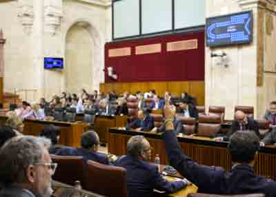 Una de las votaciones que han tenido lugar al finalizar el orden del da del pleno 