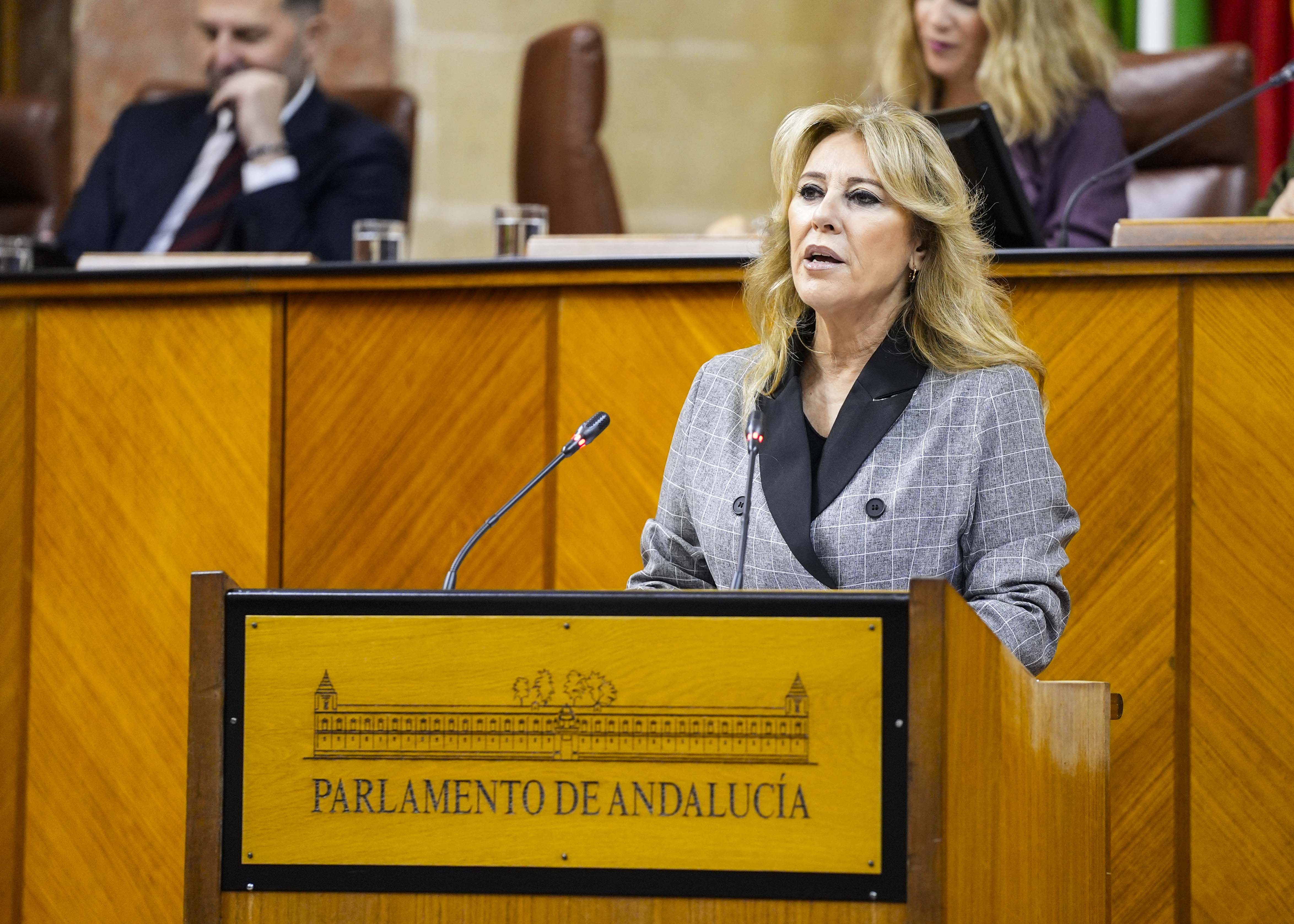 La consejera de Economa, Carolina Espaa, solicita la convalidacin del decreto ley de medidas urgentes para paliar los efectos de la DANA 