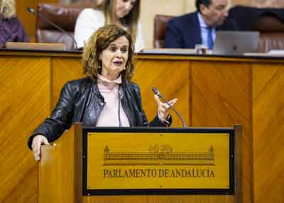  Esperanza Gmez explica el parecer del Grupo Parlamentario Por Andaluca sobre el decreto ley